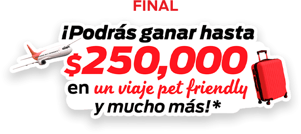 Premio final Walmart